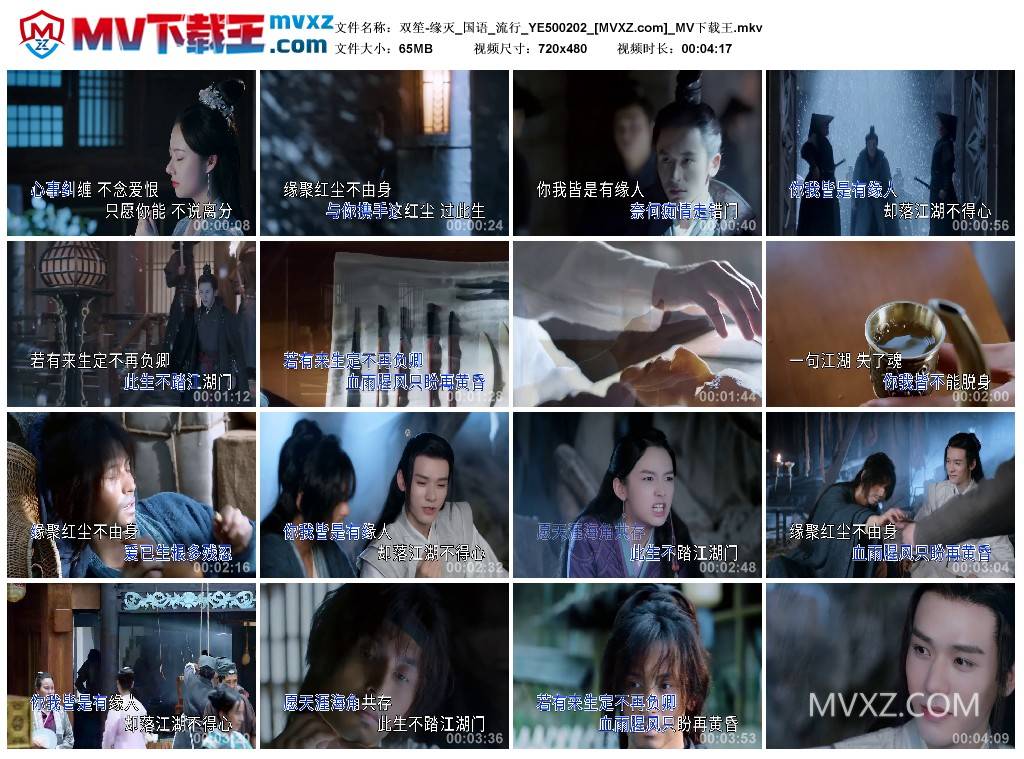 双笙-缘灭_国语_流行_YE500202